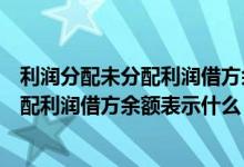 利润分配未分配利润借方余额反映的是什么（利润分配未分配利润借方余额表示什么）