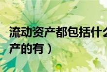 流动资产都包括什么（下列各项中属于流动资产的有）