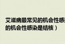 艾滋病最常见的机会性感染是结核是否正确（艾滋病最常见的机会性感染是结核）