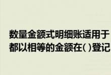 数量金额式明细账适用于（复式记账法是对每一笔经济业务都以相等的金额在( )登记）