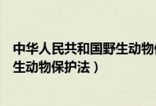 中华人民共和国野生动物保护法第二章（中华人民共和国野生动物保护法）