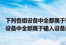 下列各组设备中全都属于输入设备的一组是什么（下列各组设备中全部属于输入设备的一组是）