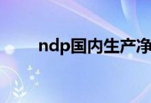 ndp国内生产净值（国内生产净值）