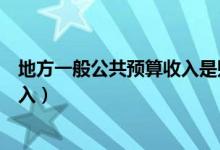 地方一般公共预算收入是财政收入吗（地方一般公共预算收入）