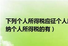 下列个人所得税应征个人所得税的有（下列各项个人所得应纳个人所得税的有）