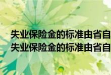 失业保险金的标准由省自治区直和市人民政府确定不低于（失业保险金的标准由省自治区不得低于）