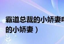 霸道总裁的小娇妻电视剧在线观看（霸道总裁的小娇妻）