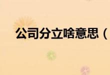 公司分立啥意思（公司分立是什么意思）