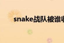 snake战队被谁收购了（snake战队）