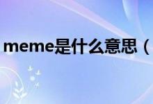 meme是什么意思（手书meme是什么意思）