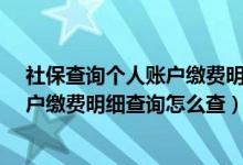 社保查询个人账户缴费明细查询怎么查?（社保查询个人账户缴费明细查询怎么查）