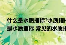 什么是水质指标?水质指标有哪些?各代表什么意义?（什么是水质指标 常见的水质指标有哪些）