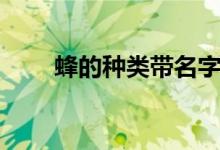 蜂的种类带名字及图片（蜂的种类）