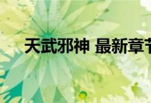 天武邪神 最新章节 无弹窗（天武邪神）