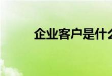 企业客户是什么意思（企业客户）