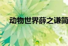 动物世界薛之谦简谱（动物世界薛之谦）