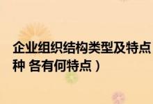 企业组织结构类型及特点（企业组织结构的形式主要有哪几种 各有何特点）