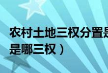 农村土地三权分置是指哪三权（土地三权分置是哪三权）