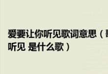 爱要让你听见歌词意思（歌词有句是爱要让你看见 爱要让你听见 是什么歌）