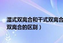 湿式双离合和干式双离合的区别在哪?（湿式双离合和干式双离合的区别）