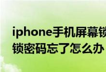 iphone手机屏幕锁密码忘了（苹果手机屏幕锁密码忘了怎么办）