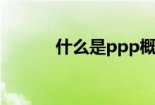 什么是ppp概念（什么是ppp）