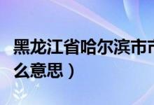 黑龙江省哈尔滨市市辖区什么意思（市辖区什么意思）