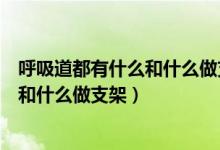 呼吸道都有什么和什么做支架保证气体通畅（呼吸道由什么和什么做支架）