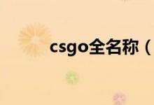 csgo全名称（csgo全名是什么）