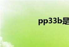 pp33b是啥（pp33b）