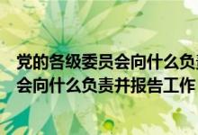 党的各级委员会向什么负责并报告工作工作（党的各级委员会向什么负责并报告工作）