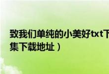 致我们单纯的小美好txt下载（致我们单纯的小美好的txt全集下载地址）