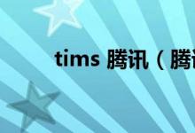 tims 腾讯（腾讯TIM是什么软件）