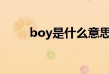 boy是什么意思（toy是什么意思）