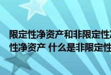 限定性净资产和非限定性净资产属于什么科目（什么是限定性净资产 什么是非限定性资产）