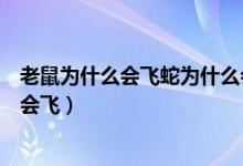 老鼠为什么会飞蛇为什么会飞老鹰为什么会飞（老鼠为什么会飞）