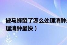 被马蜂蛰了怎么处理消肿最快止痛止痒（被马蜂蛰了怎么处理消肿最快）