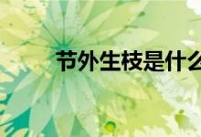 节外生枝是什么生肖?（节外生枝）