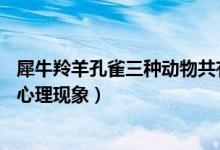 犀牛羚羊孔雀三种动物共有头26个（学习是动物和人共有的心理现象）