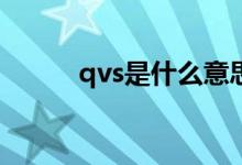 qvs是什么意思（qvq什么意思）