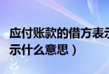 应付账款的借方表示什么（应付账款借贷方表示什么意思）