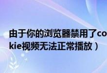 由于你的浏览器禁用了cookie（由于您的浏览器禁用了cookie视频无法正常播放）