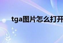 tga图片怎么打开（tga文件怎么打开）