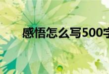 感悟怎么写500字左右（感悟怎么写）