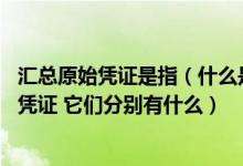 汇总原始凭证是指（什么是原始凭证汇总表 什么是汇总原始凭证 它们分别有什么）