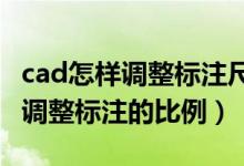 cad怎样调整标注尺寸比例（CAD中怎么快速调整标注的比例）