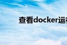 查看docker运行状态（运行状态）