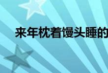 来年枕着馒头睡的上一句是什么（来年）