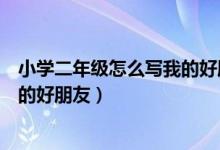 小学二年级怎么写我的好朋友（小学生二年级作文怎样写我的好朋友）