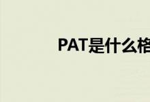 PAT是什么格式（pat是什么）